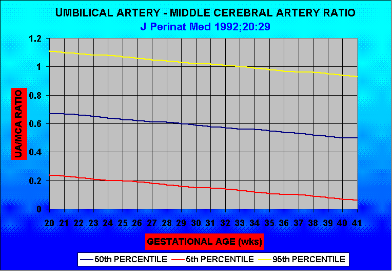 umbilical-artery-blood-flow